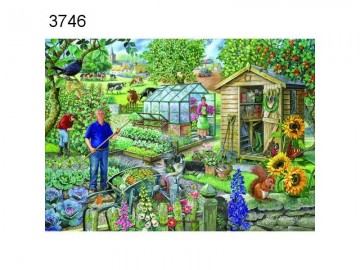 At the allotment