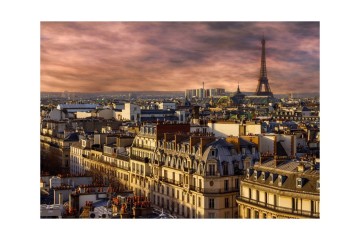 Bluebird puzzle 70038