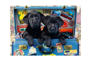 Bluebird puzzle 70328