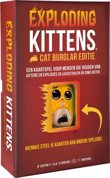 Cat burgkar box