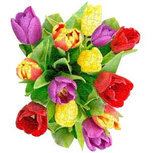 Ced3a675 9764 42c8 a2ab 9f6a513c7b51cr00300300pt0sx300v1