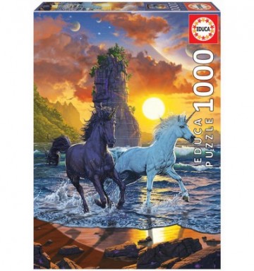 Educa puzzel eenhoorn op het strand vincent hie 1000st