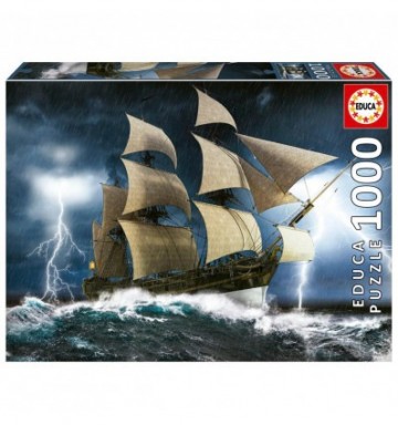 Educa puzzel perfecte storm 1000st