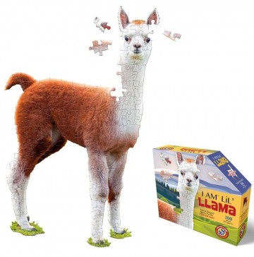 Lama 0