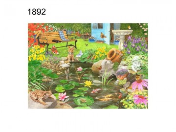 Lily pond