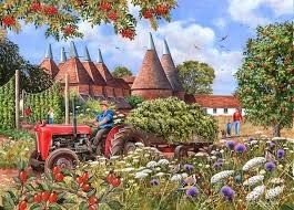 Oast houses