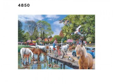 W ponnies