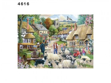 Where are ewe going