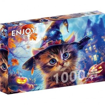 Witch cat