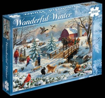 Wonderful winter